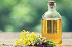 REFINED CANOLA OIL /RAPESEED OIL